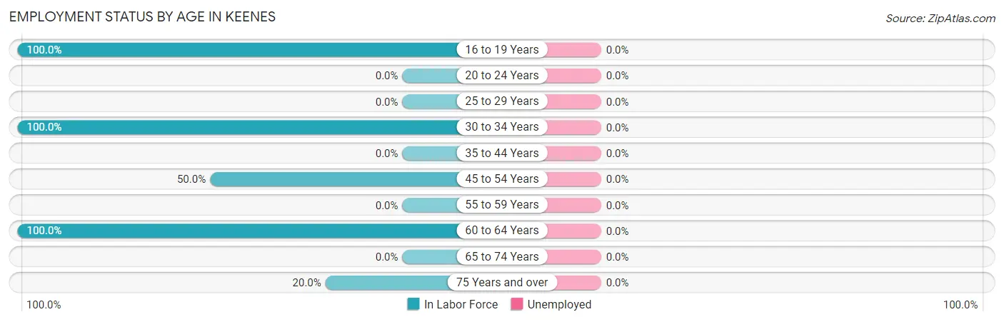 Employment Status by Age in Keenes