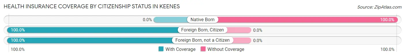 Health Insurance Coverage by Citizenship Status in Keenes
