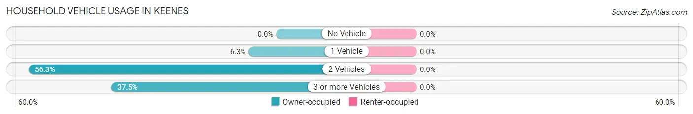 Household Vehicle Usage in Keenes