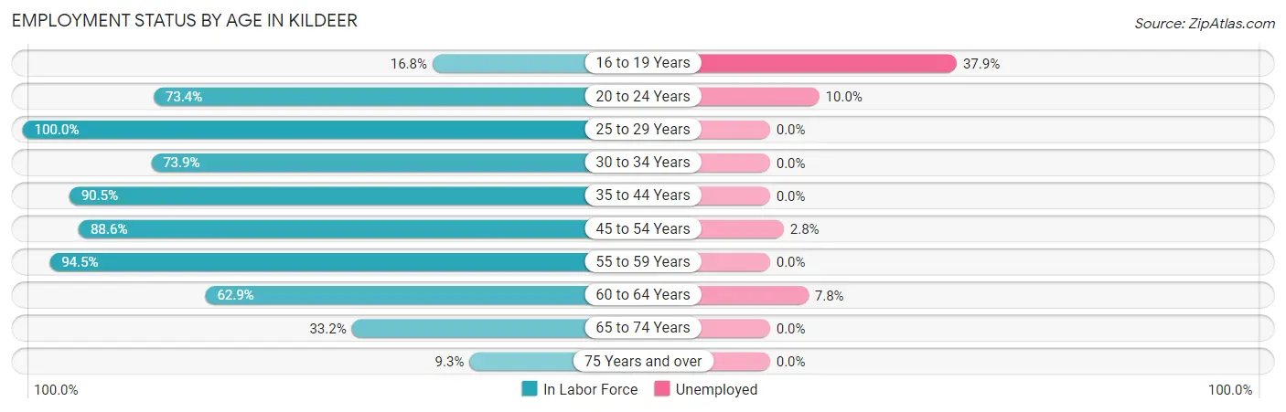 Employment Status by Age in Kildeer