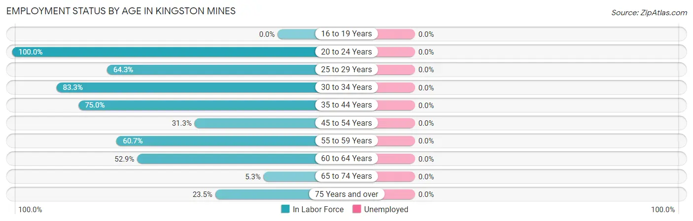 Employment Status by Age in Kingston Mines
