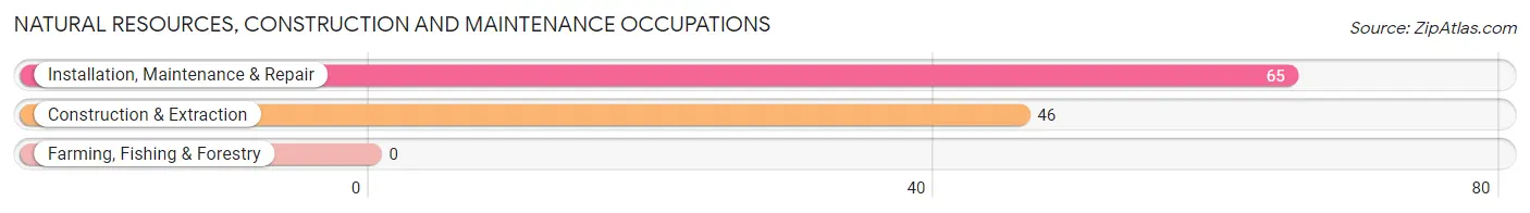 Natural Resources, Construction and Maintenance Occupations in Kirkland