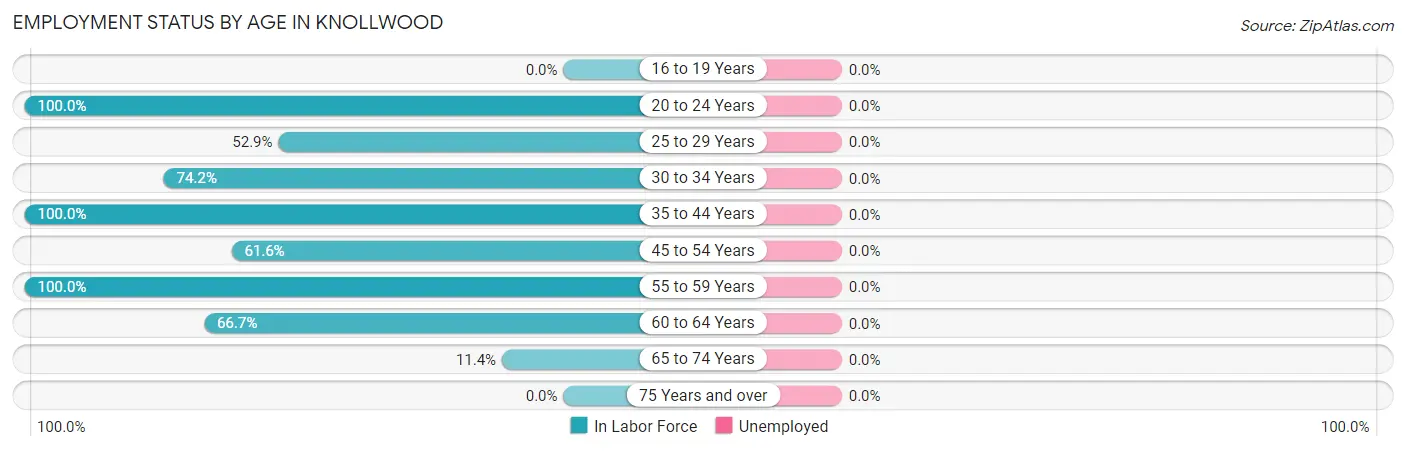 Employment Status by Age in Knollwood