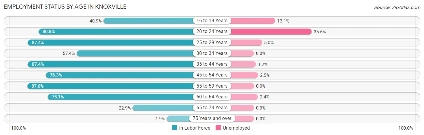 Employment Status by Age in Knoxville