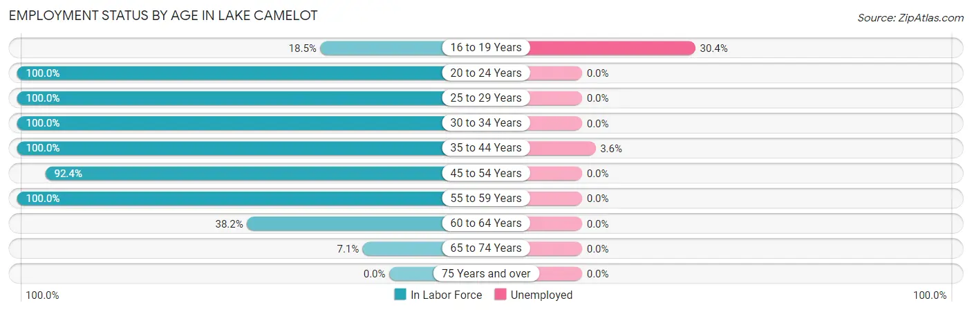 Employment Status by Age in Lake Camelot