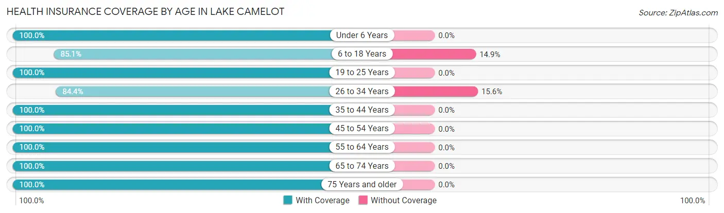 Health Insurance Coverage by Age in Lake Camelot