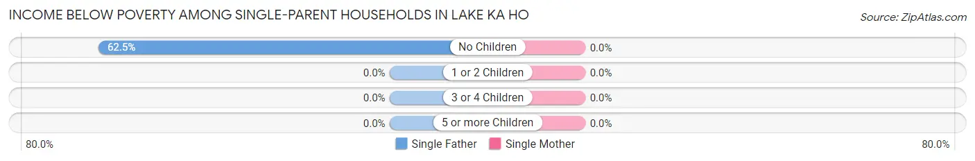 Income Below Poverty Among Single-Parent Households in Lake Ka Ho