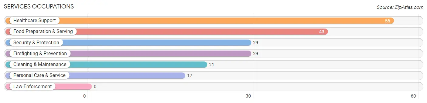 Services Occupations in Lake of the Woods