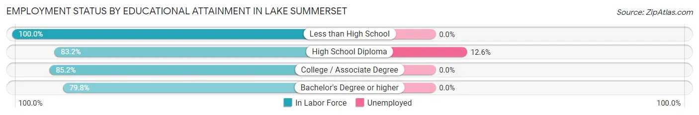 Employment Status by Educational Attainment in Lake Summerset