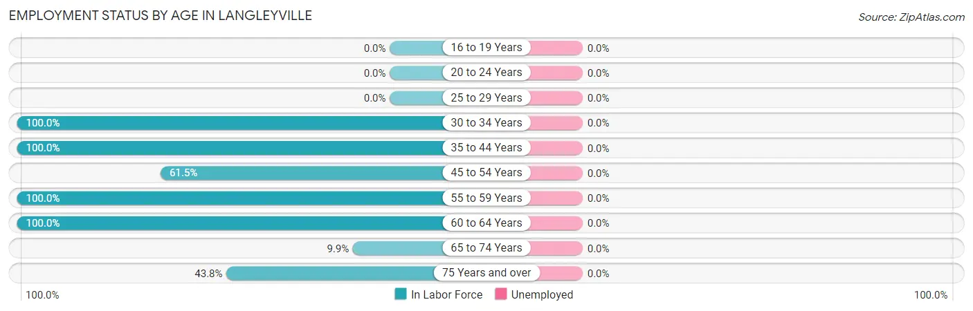 Employment Status by Age in Langleyville