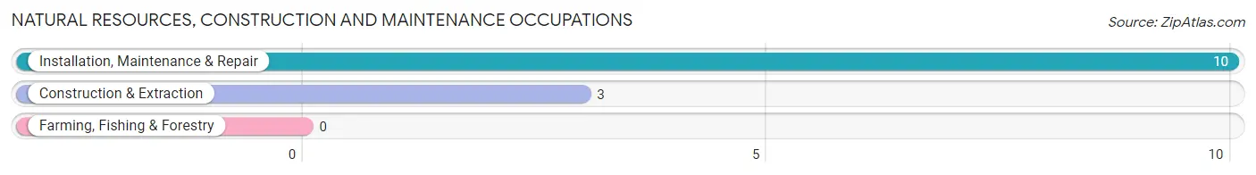 Natural Resources, Construction and Maintenance Occupations in Latham