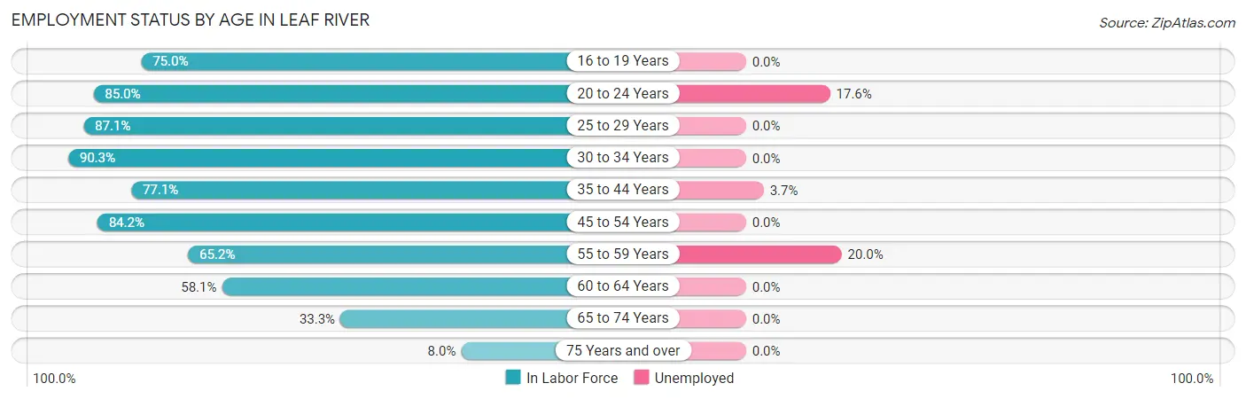 Employment Status by Age in Leaf River