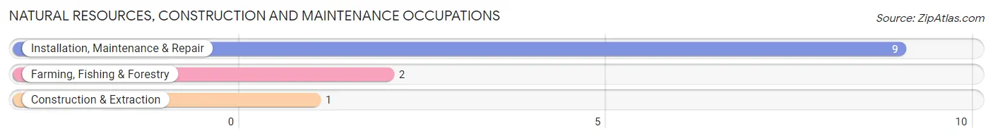 Natural Resources, Construction and Maintenance Occupations in Leonore