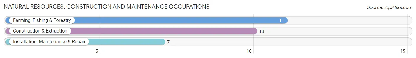 Natural Resources, Construction and Maintenance Occupations in Liberty