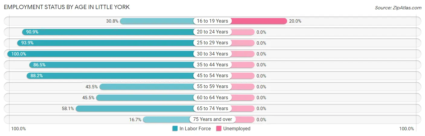 Employment Status by Age in Little York