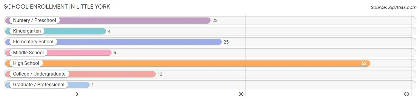 School Enrollment in Little York