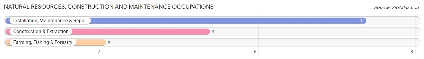 Natural Resources, Construction and Maintenance Occupations in Littleton