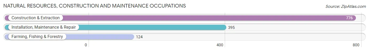 Natural Resources, Construction and Maintenance Occupations in Lockport