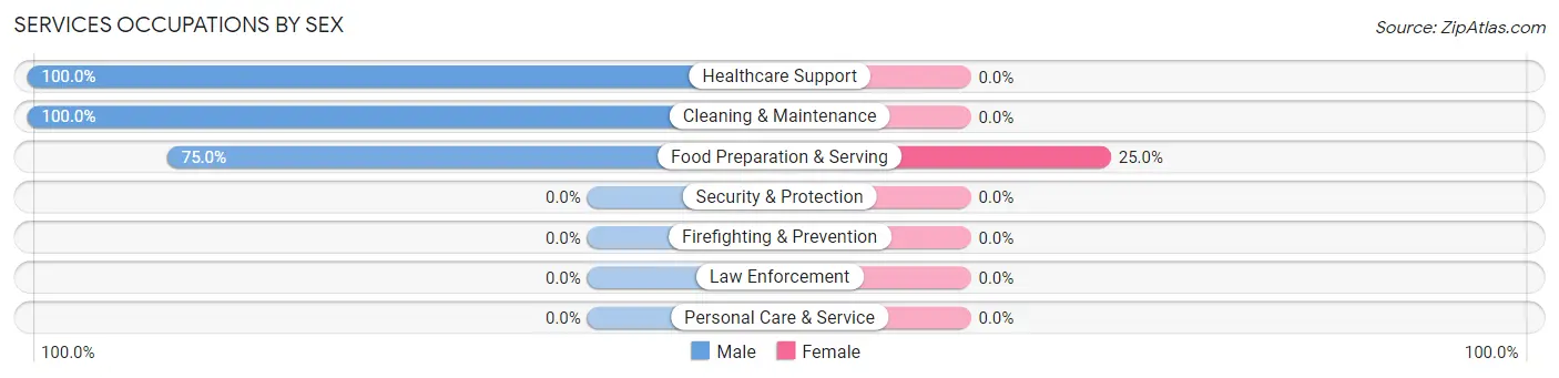 Services Occupations by Sex in Longview