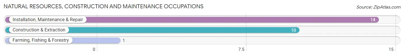 Natural Resources, Construction and Maintenance Occupations in Loraine