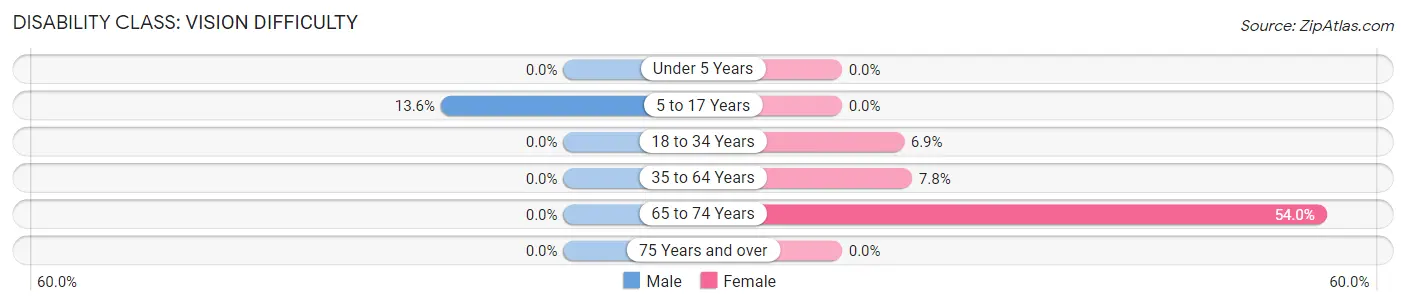 Disability in Loraine: <span>Vision Difficulty</span>