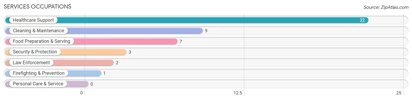 Services Occupations in Lostant