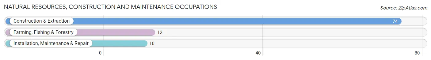 Natural Resources, Construction and Maintenance Occupations in Lovington