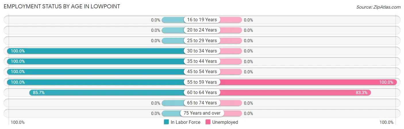 Employment Status by Age in Lowpoint