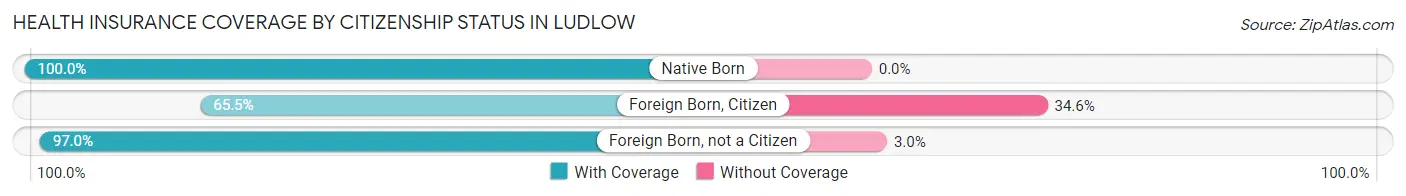 Health Insurance Coverage by Citizenship Status in Ludlow