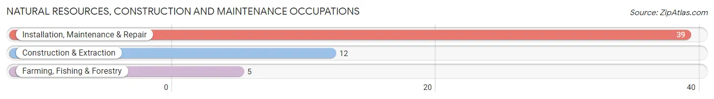 Natural Resources, Construction and Maintenance Occupations in Macon