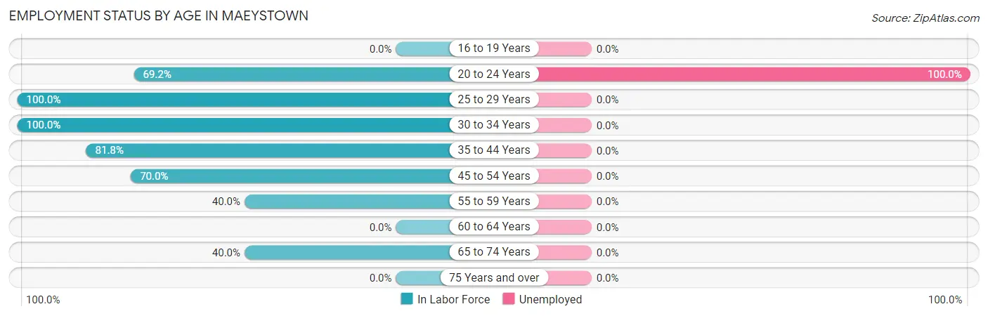Employment Status by Age in Maeystown