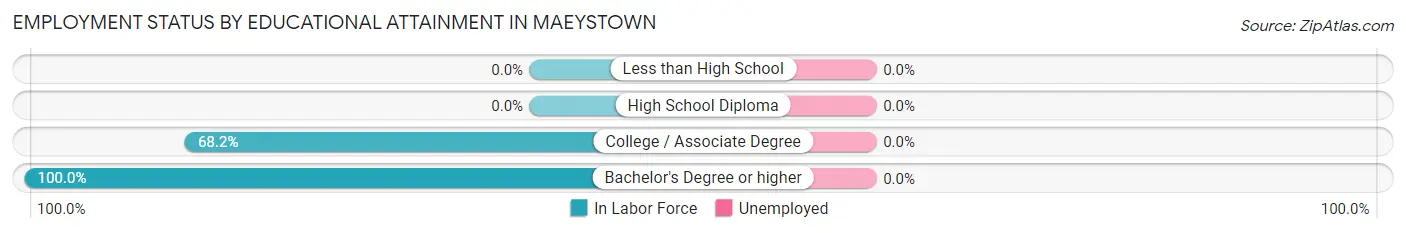 Employment Status by Educational Attainment in Maeystown