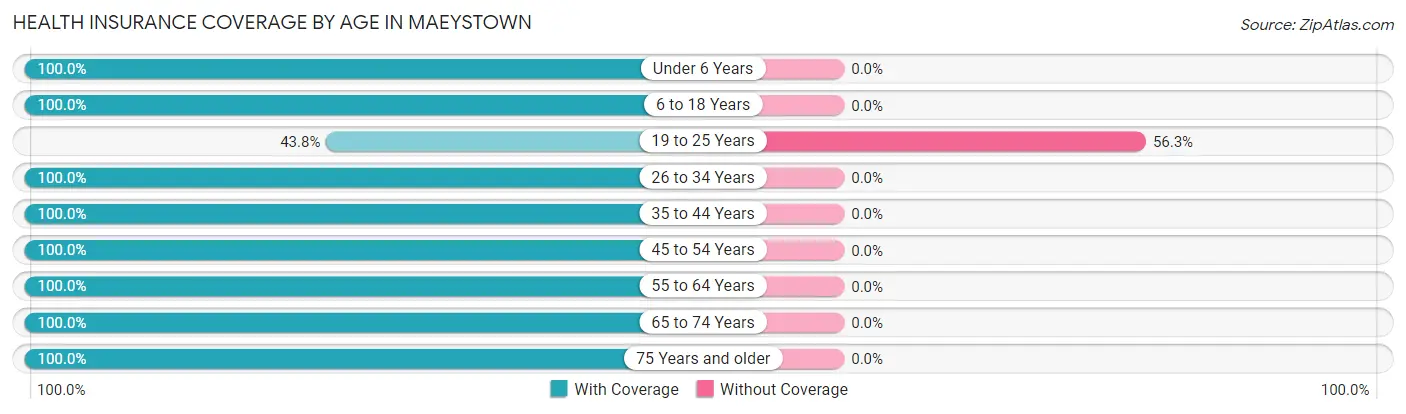 Health Insurance Coverage by Age in Maeystown
