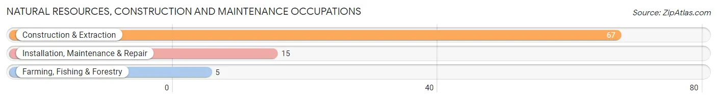 Natural Resources, Construction and Maintenance Occupations in Mansfield