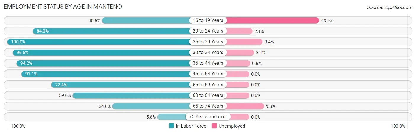 Employment Status by Age in Manteno