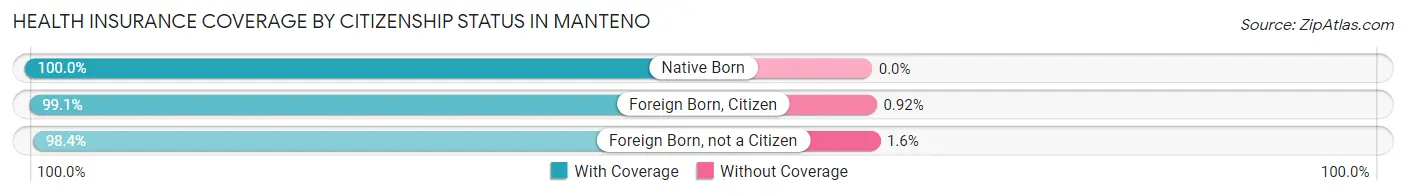 Health Insurance Coverage by Citizenship Status in Manteno