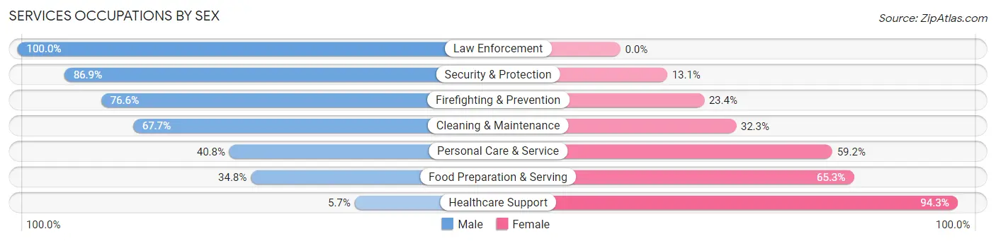 Services Occupations by Sex in Manteno