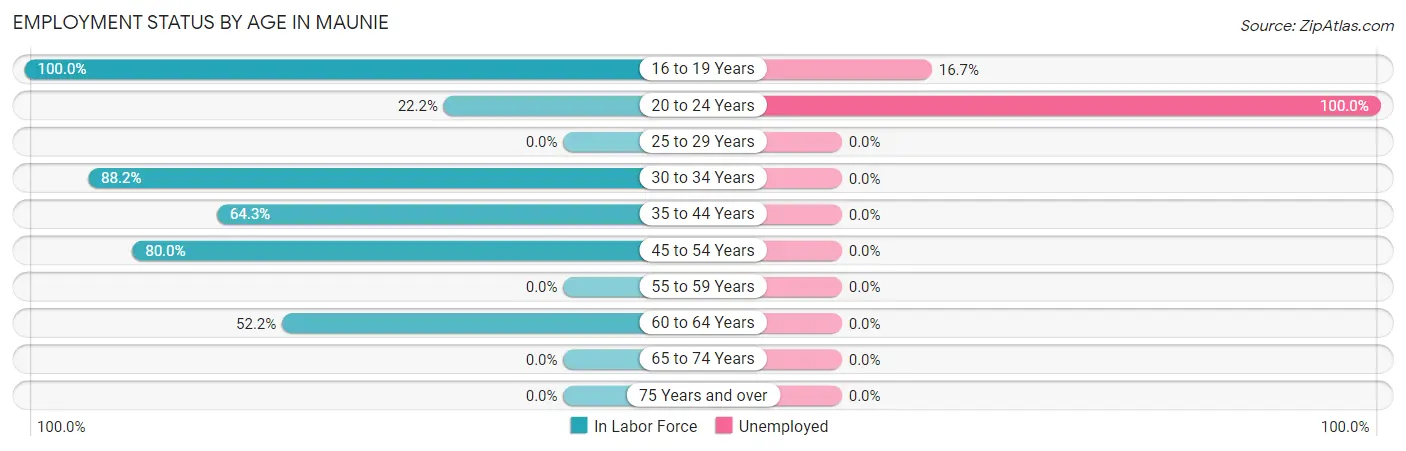 Employment Status by Age in Maunie