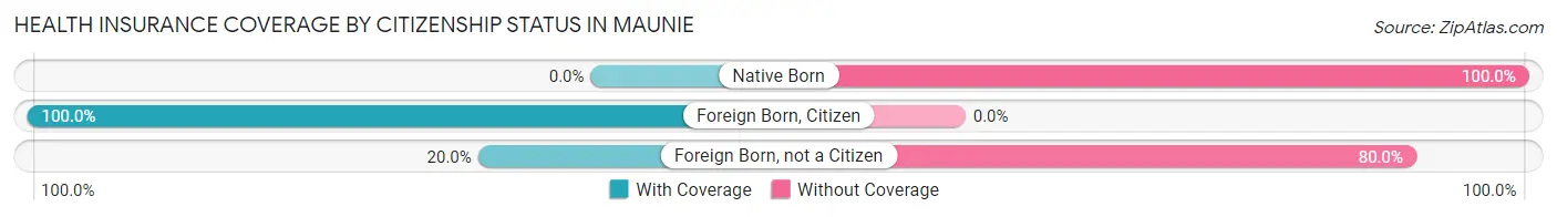 Health Insurance Coverage by Citizenship Status in Maunie