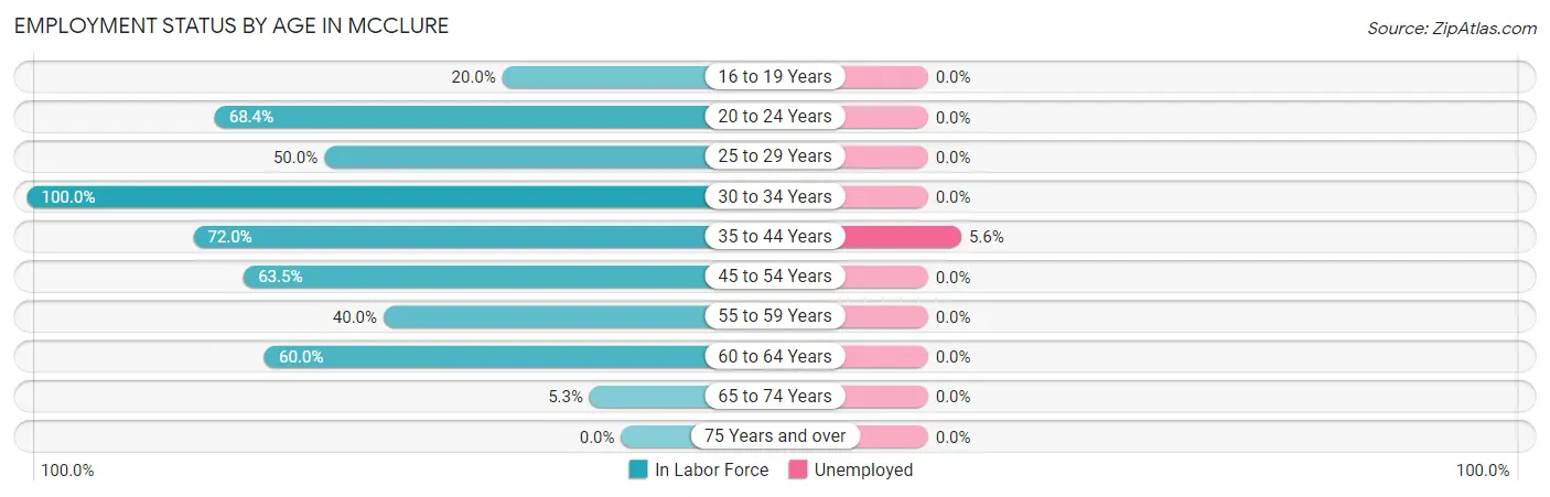 Employment Status by Age in McClure