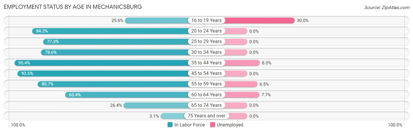 Employment Status by Age in Mechanicsburg