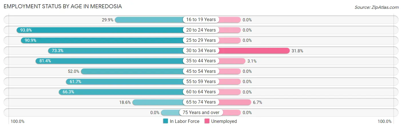 Employment Status by Age in Meredosia