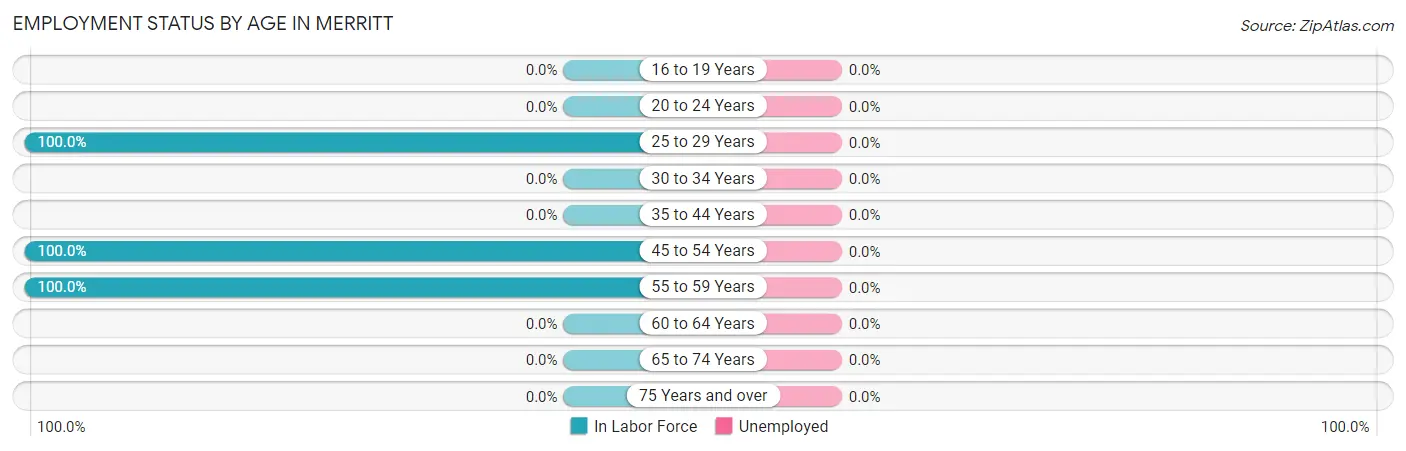 Employment Status by Age in Merritt