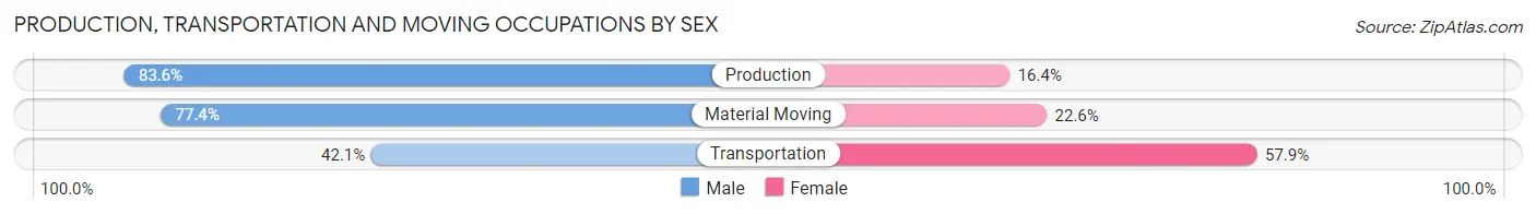 Production, Transportation and Moving Occupations by Sex in Metropolis