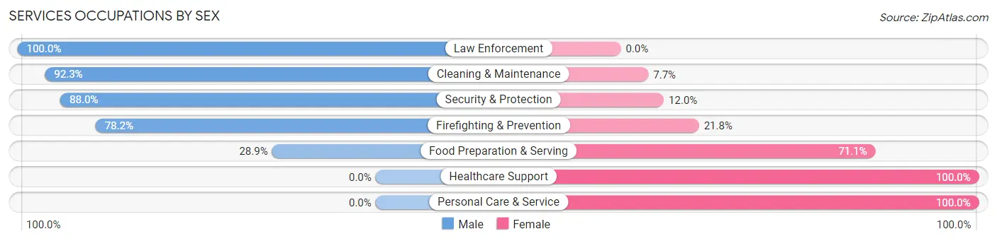 Services Occupations by Sex in Metropolis