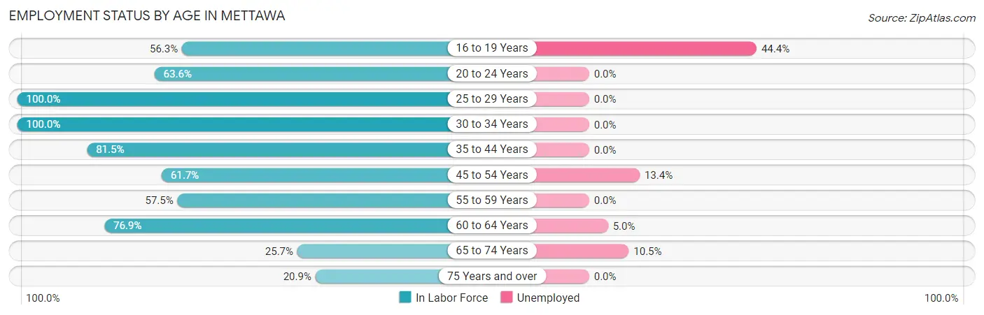 Employment Status by Age in Mettawa