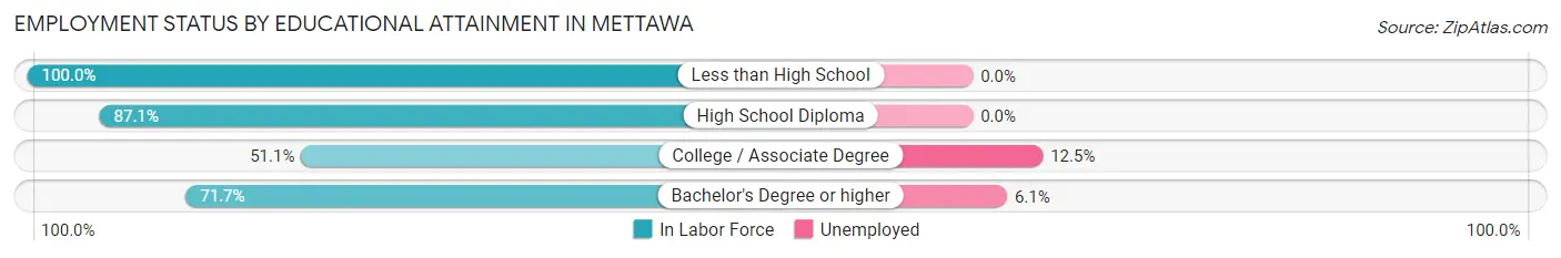 Employment Status by Educational Attainment in Mettawa