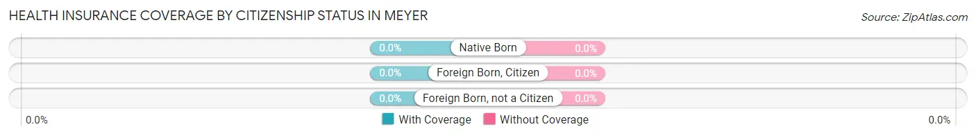 Health Insurance Coverage by Citizenship Status in Meyer