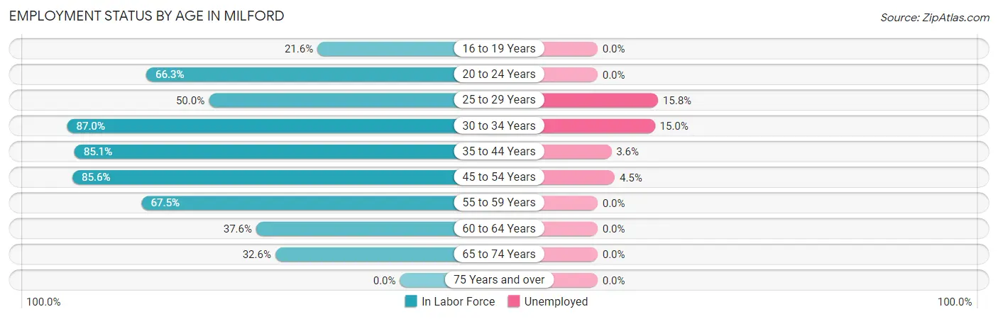 Employment Status by Age in Milford