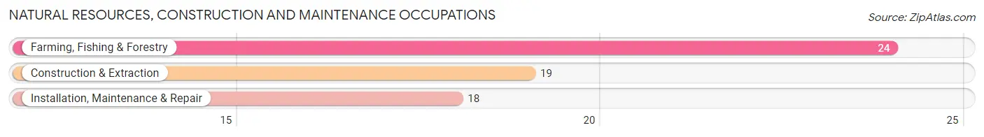 Natural Resources, Construction and Maintenance Occupations in Milford